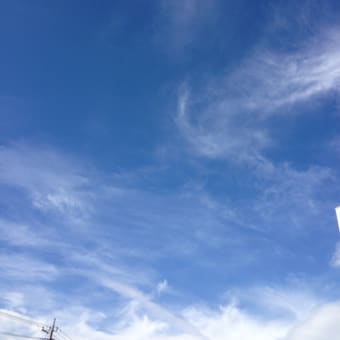 自由への遁走 最終章