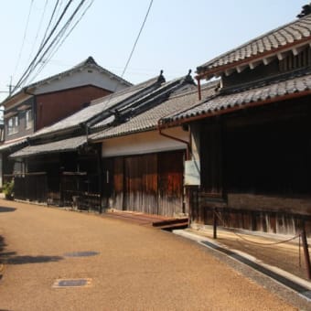 入梅間近の花々と奈良「山野辺の道」歩き①
