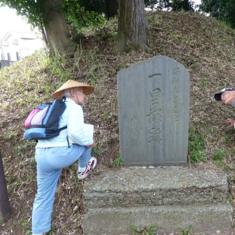 旧水戸街道を歩く　最終回　我孫子宿から馴柴へ