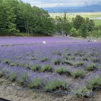 北海道マイカー縦断1800kmの旅