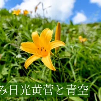 今朝の秋