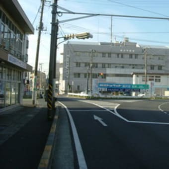 城ヶ島の水仙を見に