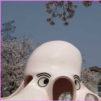 ようやく「満開」、春 来る