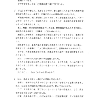 平成２７年３月６日　Ｂ型肝炎訴訟　意見陳述書