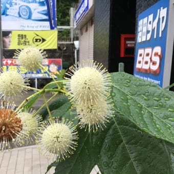 満開花火　その2