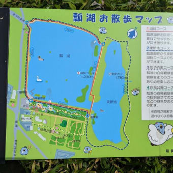 瓢湖あやめ園