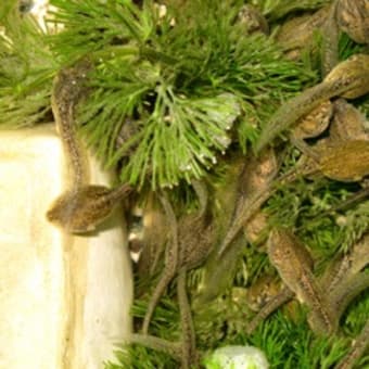食べる、出す、休む