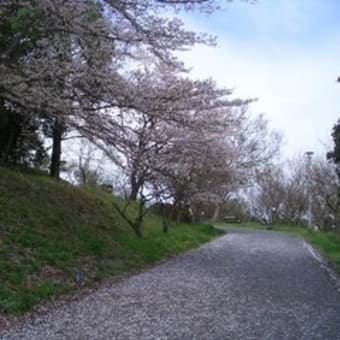 大和民俗博物館の庭園