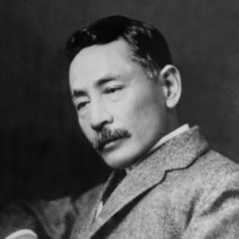 夏目漱石2 こころ 門 それから 友人との女の取り合い あなたとお花と猫とエコと健康 夏目漱石2 こころ 門 それから 友人との女の取り合い あなたとお花と猫とエコと健康