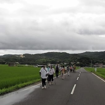 7月度なぎさ例会(7.4)