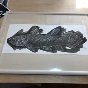 coelacanthを額装した