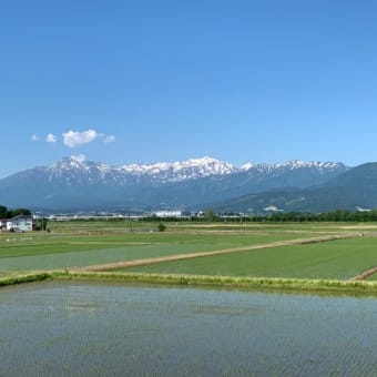 上越市板倉区新築現場　住宅2