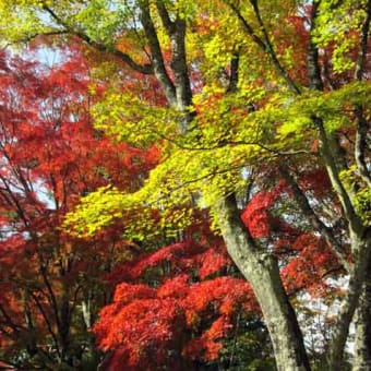 富士山の秋　2018