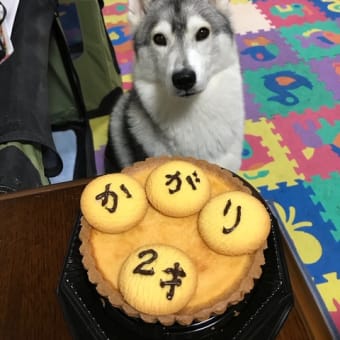 お誕生日🎂