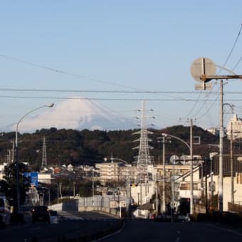 本郷台住宅からの富士山