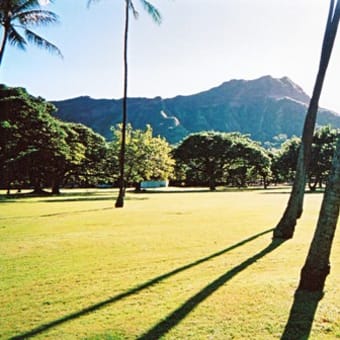 ハワイの写真