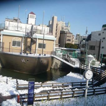 成人の日の雪にビックリ！東京スカイツリー