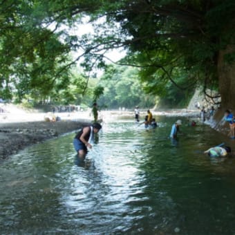 小川の生きものさがしと川遊び