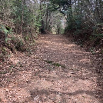 大湫宿あら大井宿そして中津川宿まで