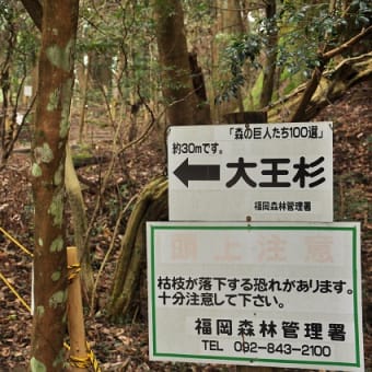 その３２