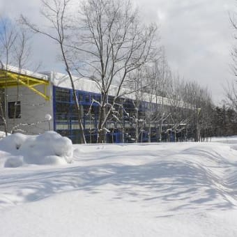 本日は吹雪きなり