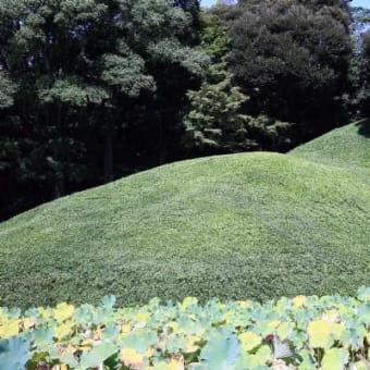 2021年 9月29日(水)の「小石川後楽園」