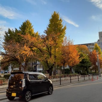 おはよ