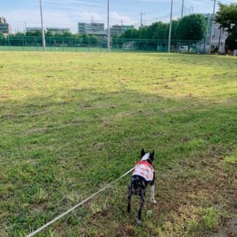 梅雨の中休み