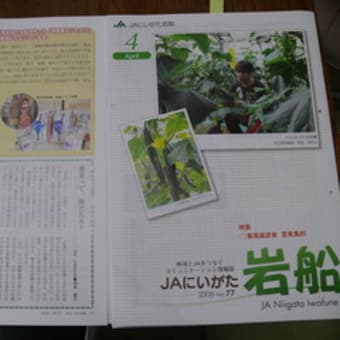 情報誌