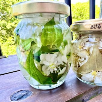 効果抜群！どくだみチンキを作ってみた