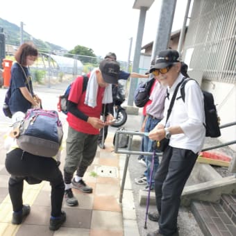 梅花藻を求めて醒ヶ井の宿へ〜J落零ウォーキング倶楽部例会