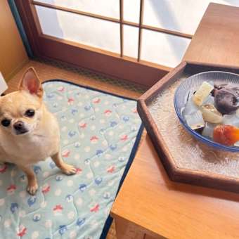 おやつの時間　あんみつ