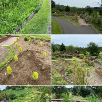 新潟県立植物園のハーブ園とハーブ講座の様子