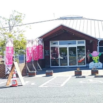 【車中泊レビュー】 道の駅 みなまた 熊本県ー２０