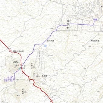 長尾山に行った