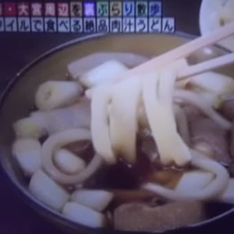 肉汁うどんが名物でつなぁ～