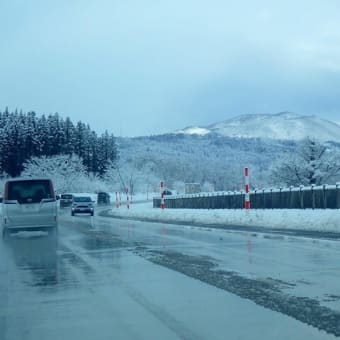 雪景色・・・樹木に積もる・・・