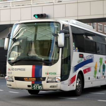 阪神バス 603