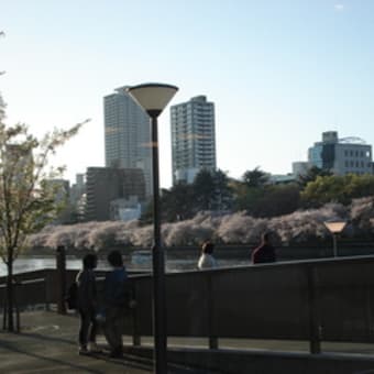 大阪城公園の桜と桃＆大川風景120414