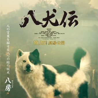 役所広司主演、映画『八犬伝』【2024年10月25日公開】