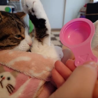 ひさしぶりにМねーちゃんが会いにきた💕