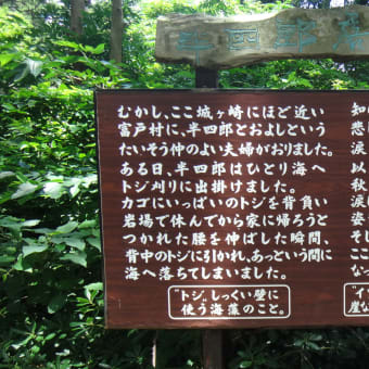 2016年7月22日　金曜日　城ケ崎海岸