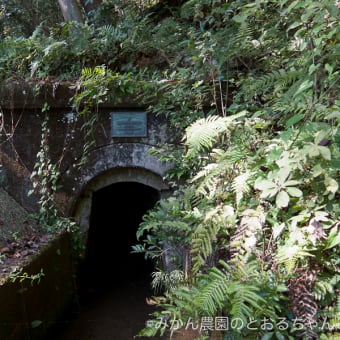 広島県東広島市・中の峠隧道