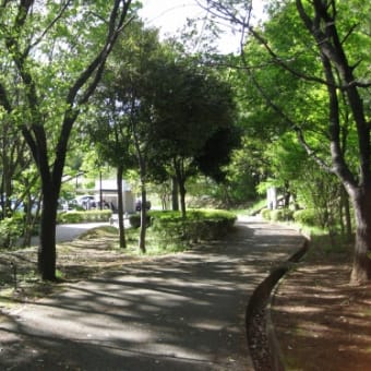 自宅周りの散歩道……４月２６日