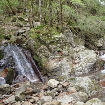 大川入山 矢作川の源流 柳川を遡行