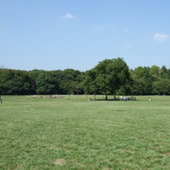 公園日和