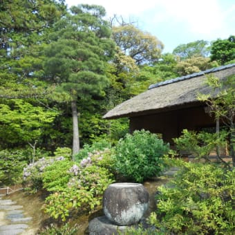 京都にて　その２1　桂離宮 賞花亭　夏向きの建て方