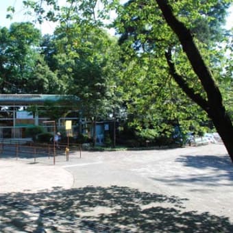 涼を求めて高尾山へ
