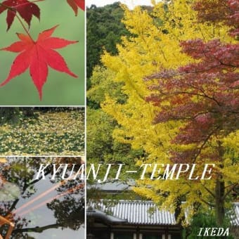 09！　紅葉