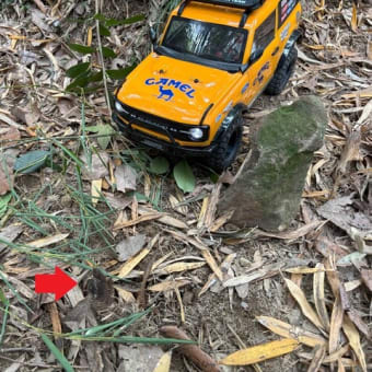 竹林間伐作業からのRCトレッキング